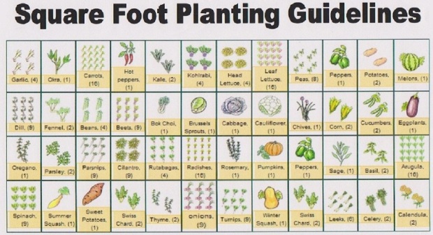 Square_Foot_Planting_Guide